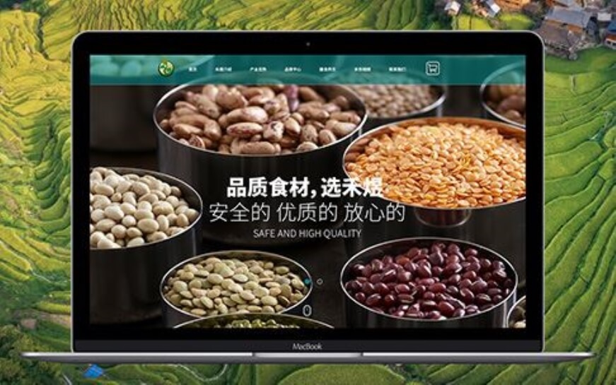 上海轻松盈科技-网站设计制作案例